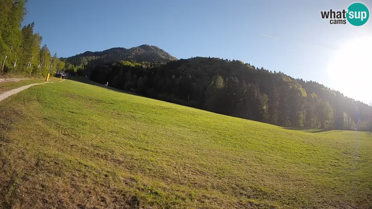 Kranjska Gora SKIJANJE | Brsnina