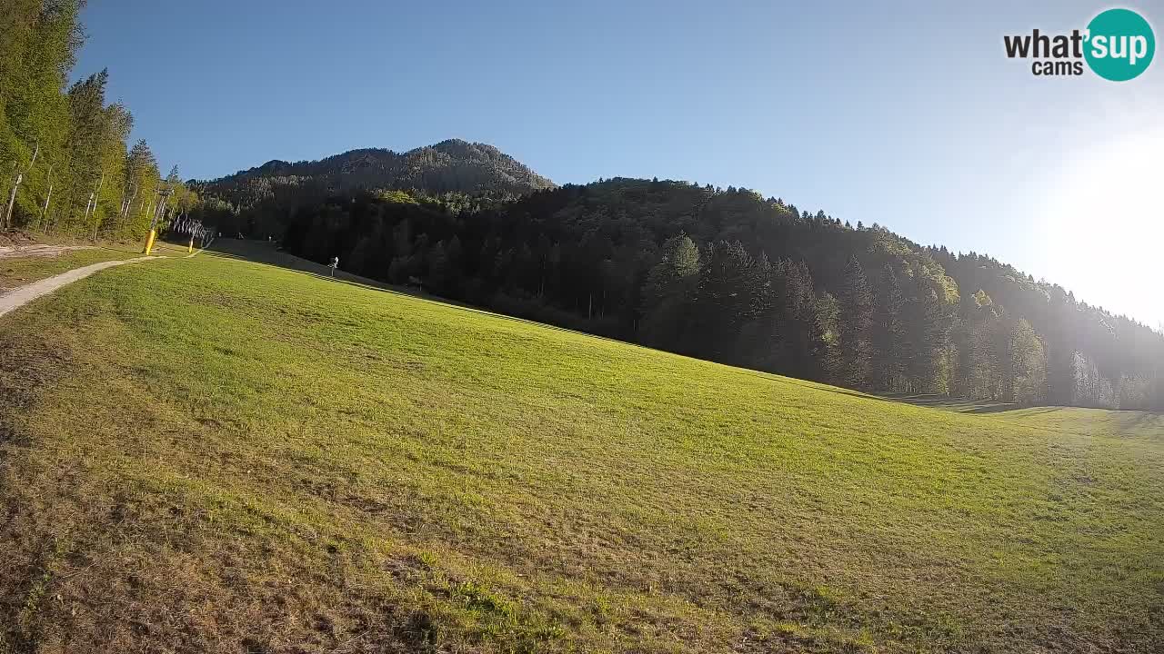 Comprensorio sciistico Kranjska Gora | Brsnina