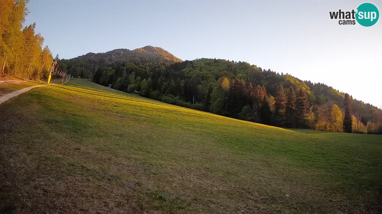 RTC Kranjska Gora | Brsnina