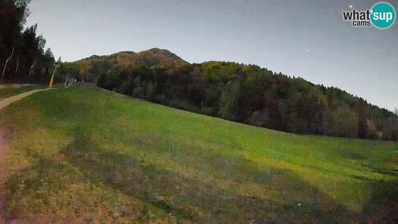 Ski Kranjska Gora | Brsnina