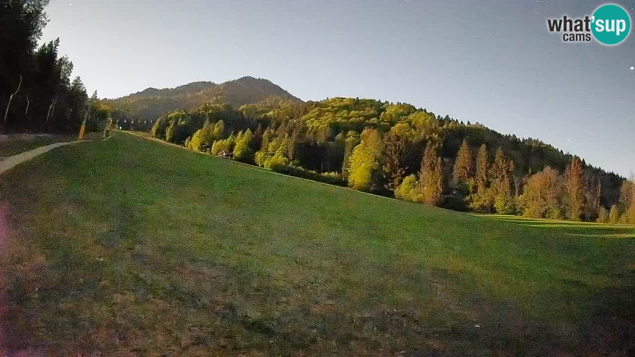 Kranjska Gora Station de ski | Brsnina