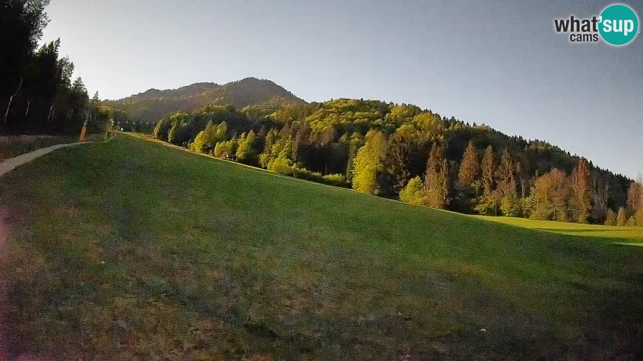 RTC Skigebiet Kranjska Gora | Brsnina