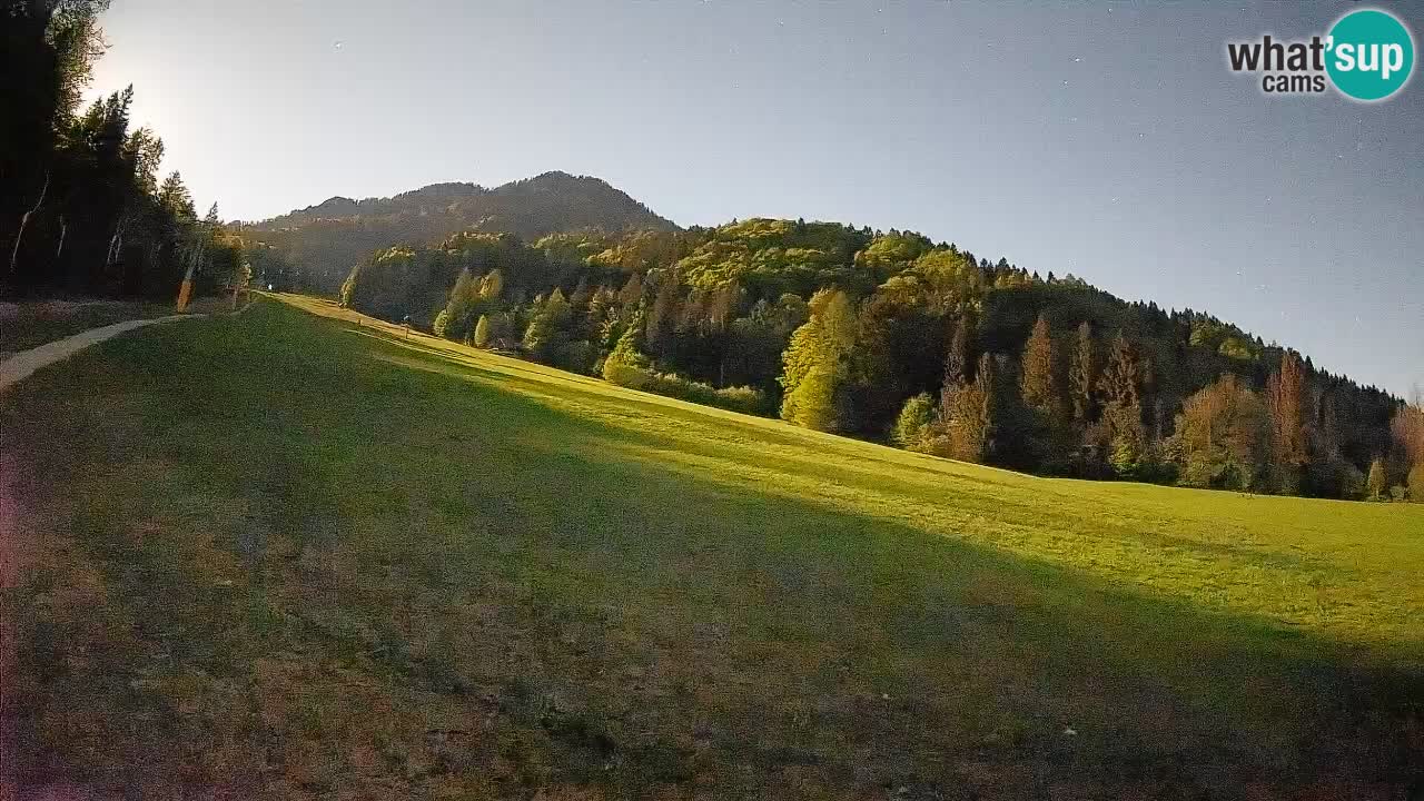RTC Kranjska Gora | Brsnina