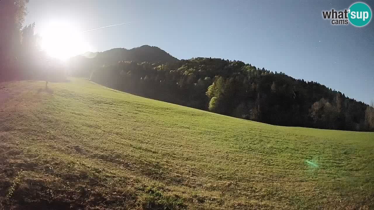 Ski Kranjska Gora | Brsnina