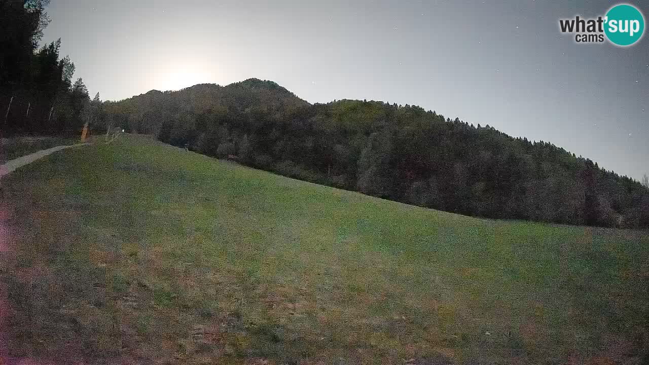 Esquí Kranjska Gora | Brsnina