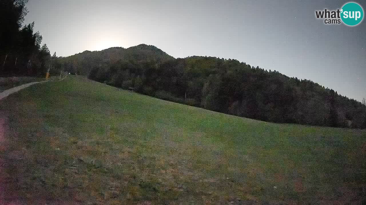 Comprensorio sciistico Kranjska Gora | Brsnina