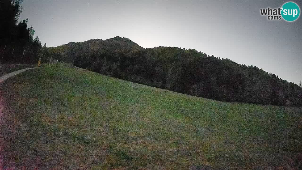 Ski Kranjska Gora | Brsnina