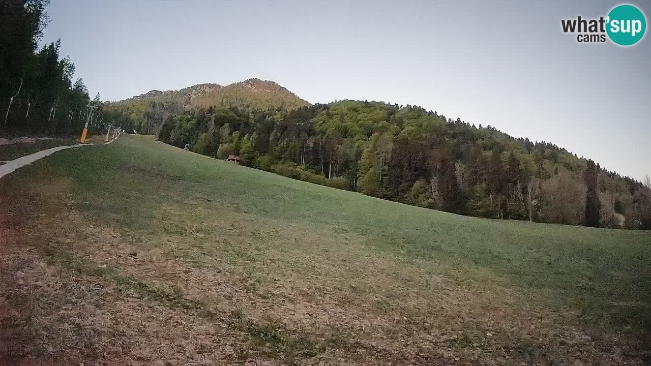 Ski Kranjska Gora | Brsnina