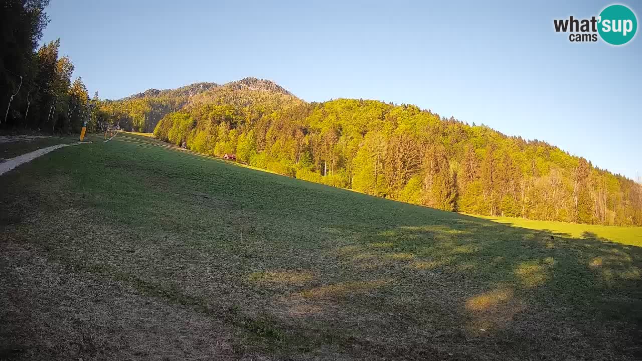 Esquí Kranjska Gora | Brsnina