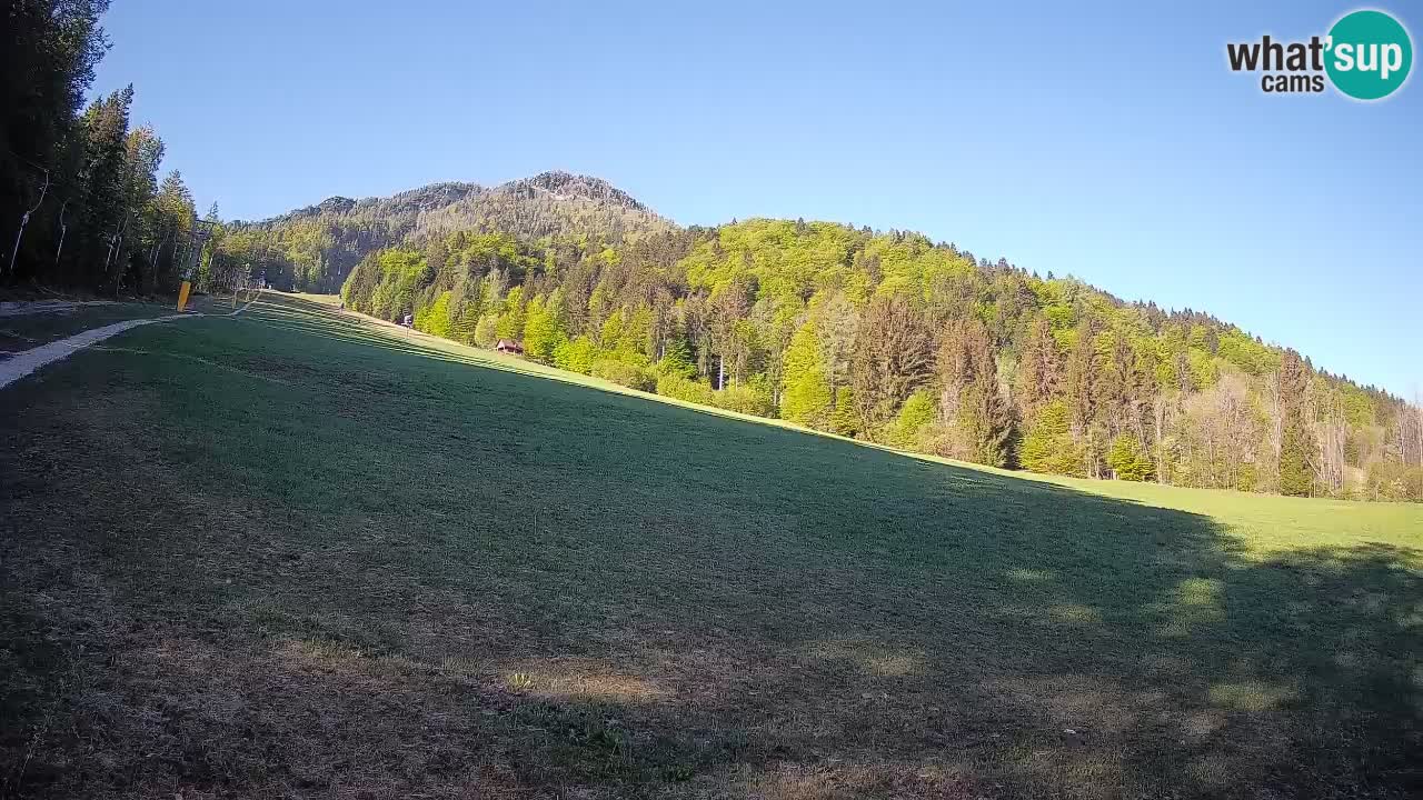Esquí Kranjska Gora | Brsnina