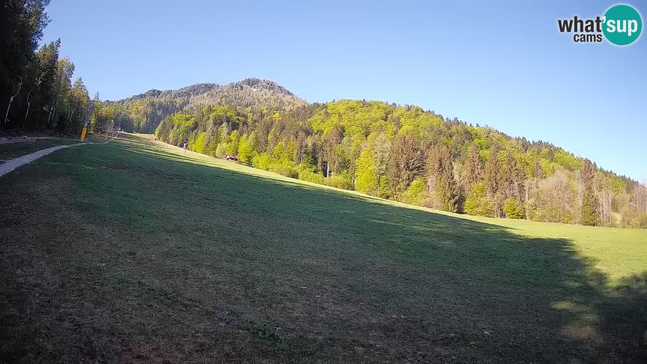 Kranjska Gora Station de ski | Brsnina