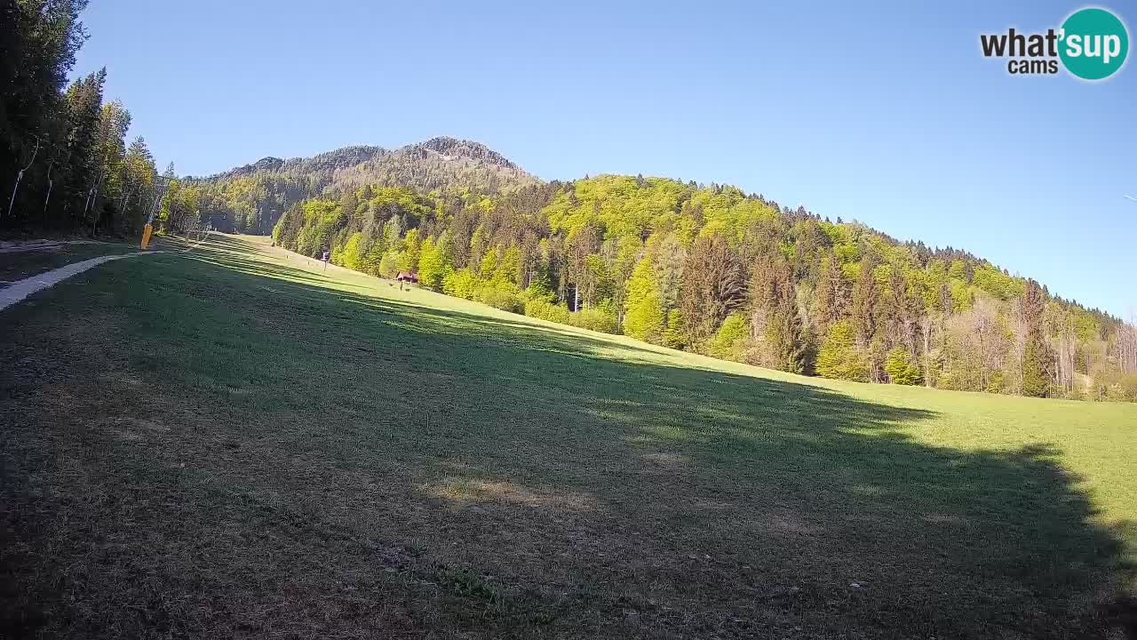Kranjska Gora Station de ski | Brsnina