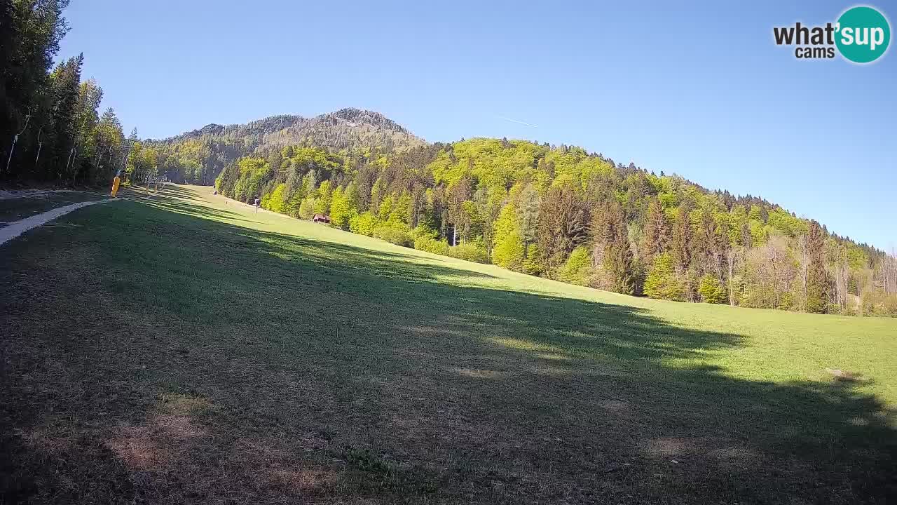 RTC Kranjska Gora | Brsnina