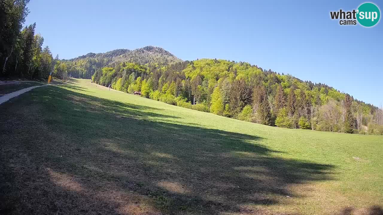 Kranjska Gora Station de ski | Brsnina