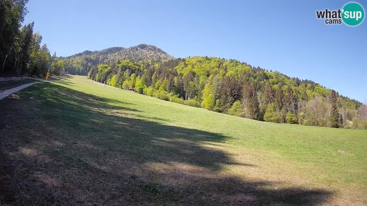 RTC Skigebiet Kranjska Gora | Brsnina