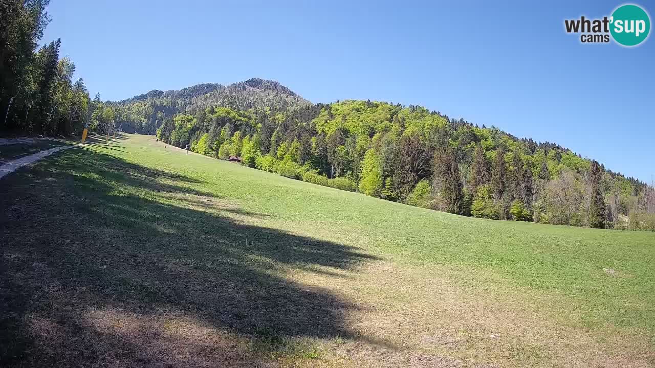 Kranjska Gora Station de ski | Brsnina