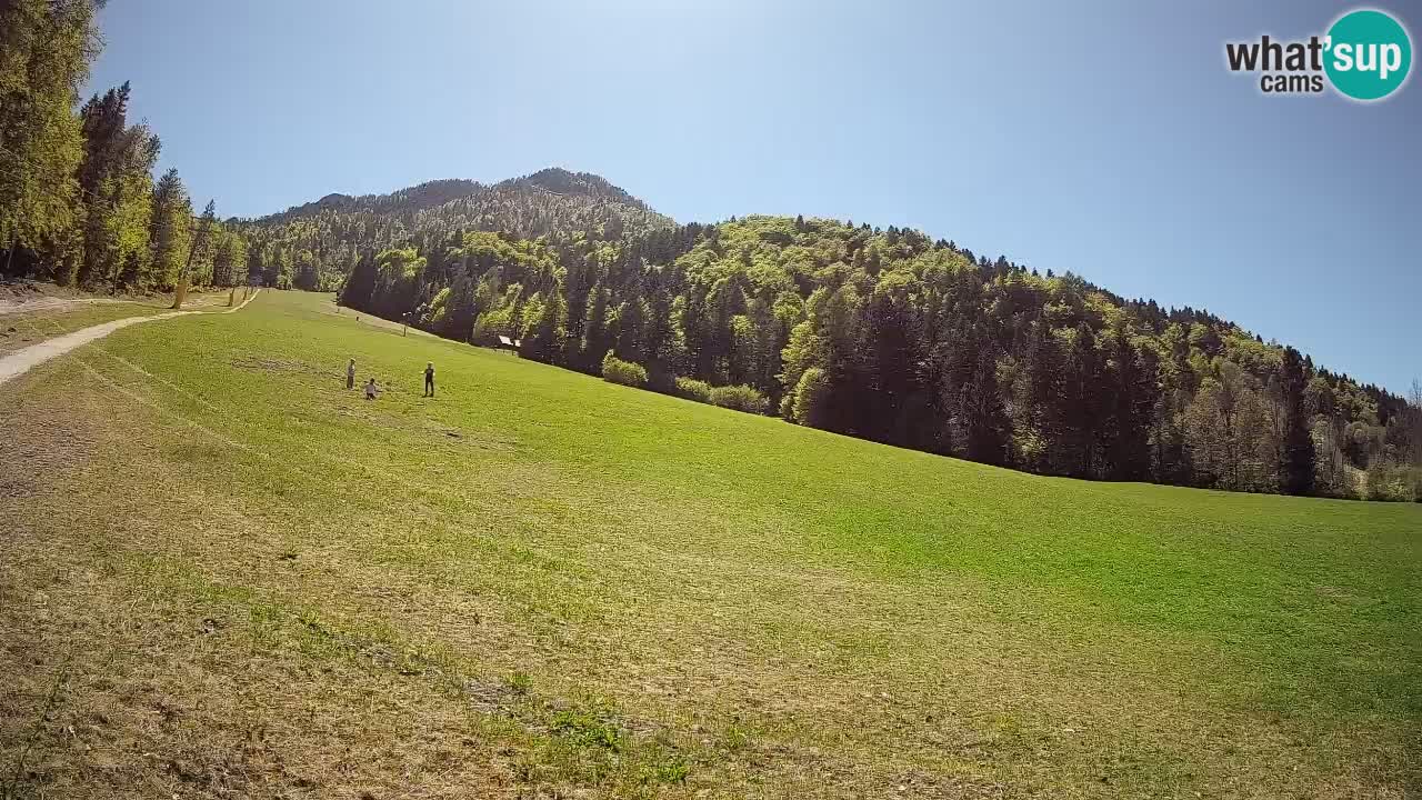 Ski Kranjska Gora | Brsnina
