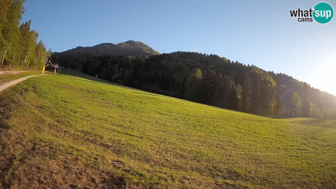 RTC Skigebiet Kranjska Gora | Brsnina