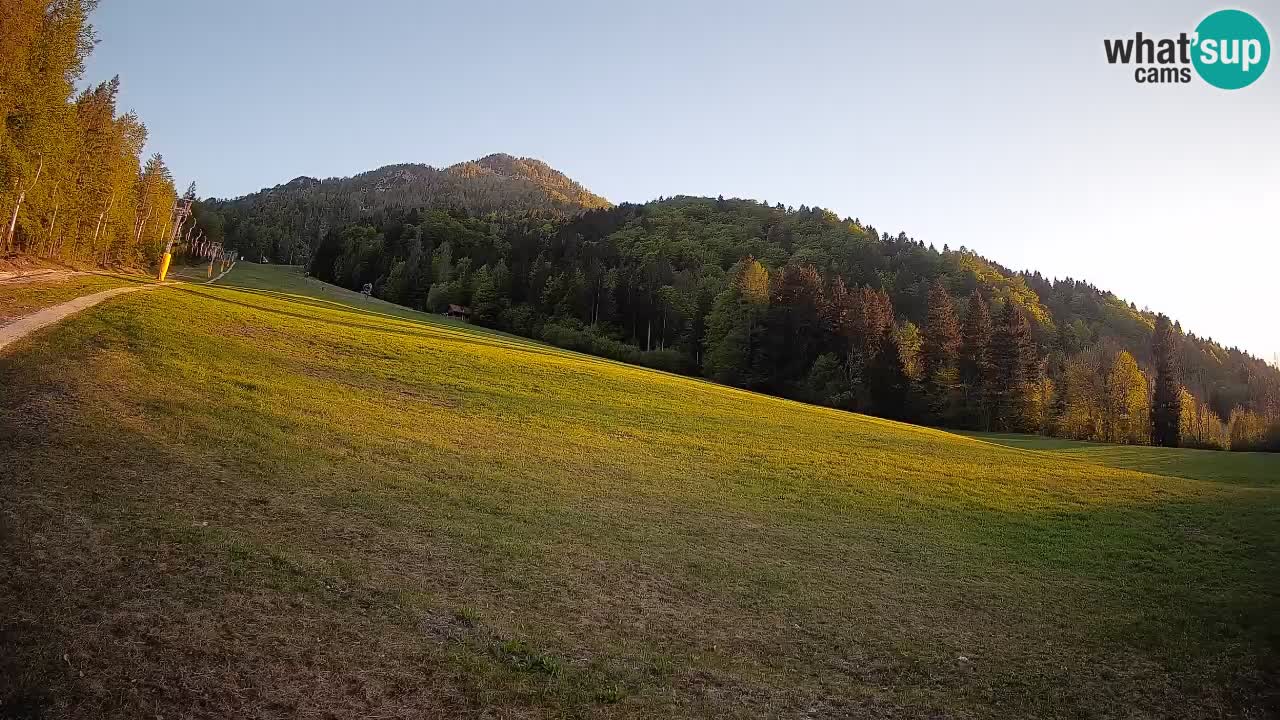 Kranjska Gora Station de ski | Brsnina