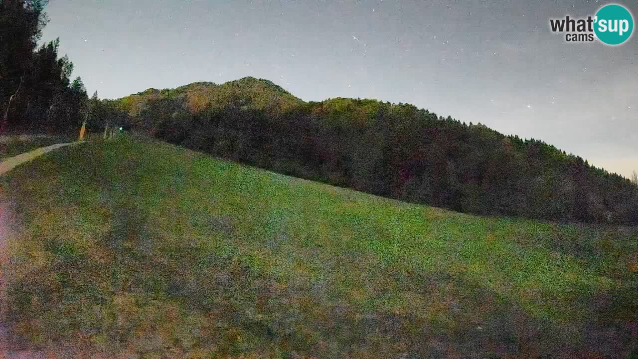 Comprensorio sciistico Kranjska Gora | Brsnina