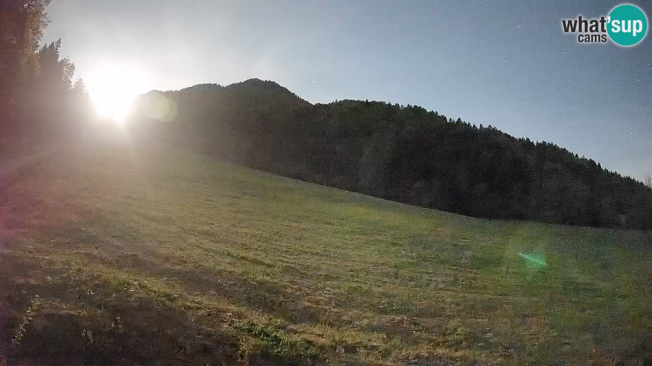 RTC Kranjska Gora | Brsnina