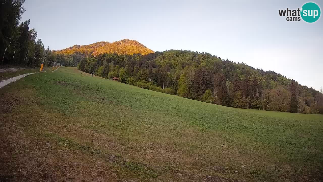 Ski Kranjska Gora | Brsnina