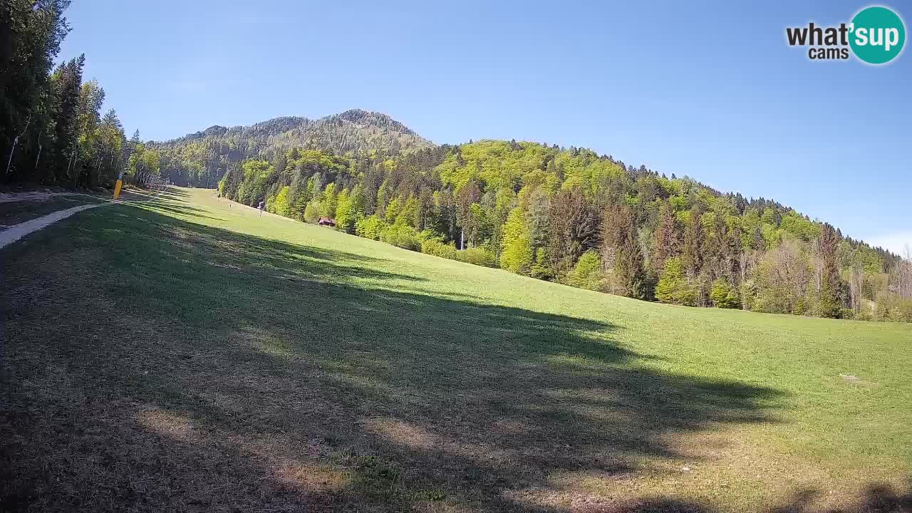 RTC Kranjska Gora | Brsnina