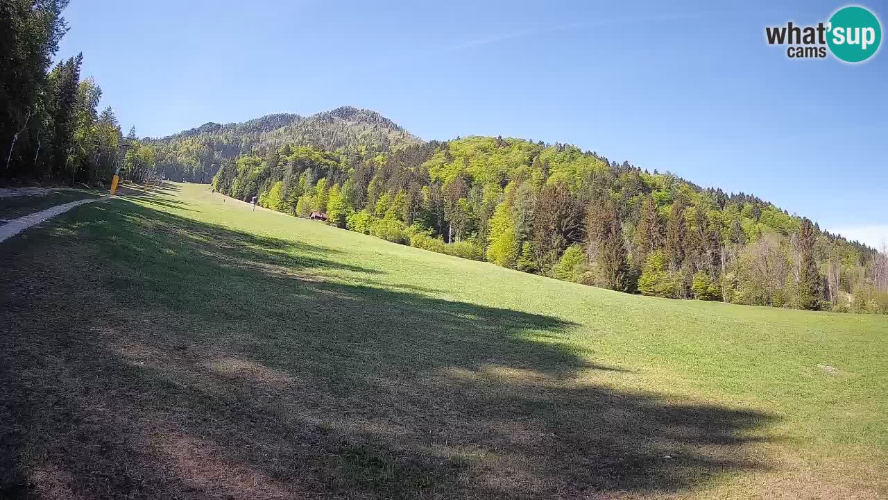 Ski Kranjska Gora | Brsnina