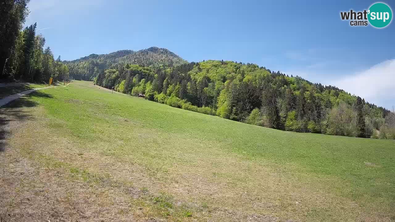 Ski Kranjska Gora | Brsnina