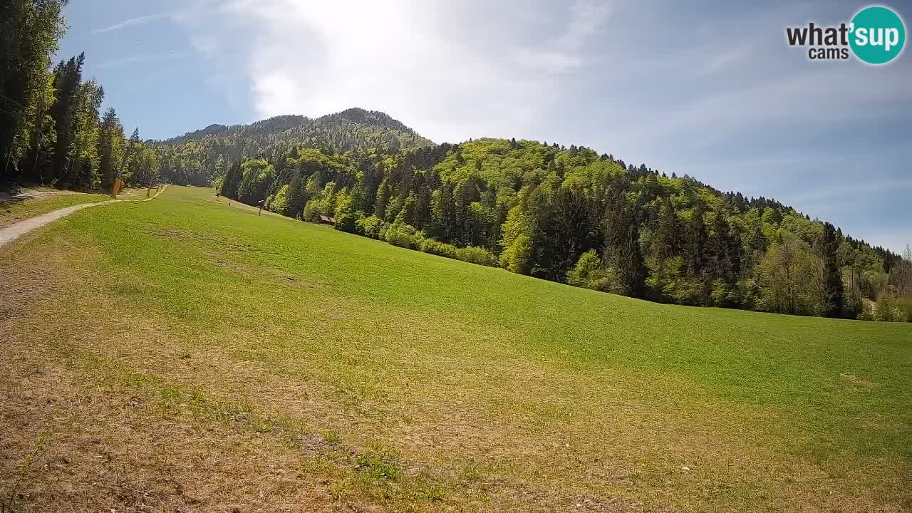 Comprensorio sciistico Kranjska Gora | Brsnina