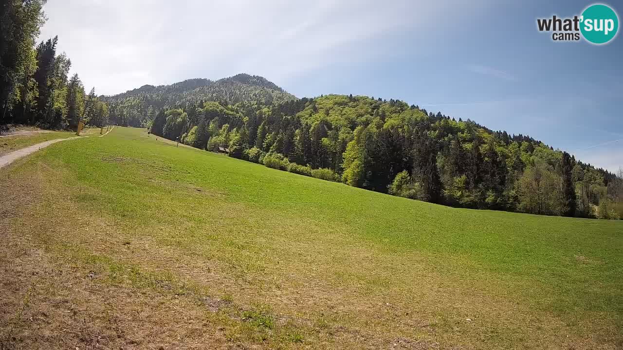 Ski Kranjska Gora | Brsnina