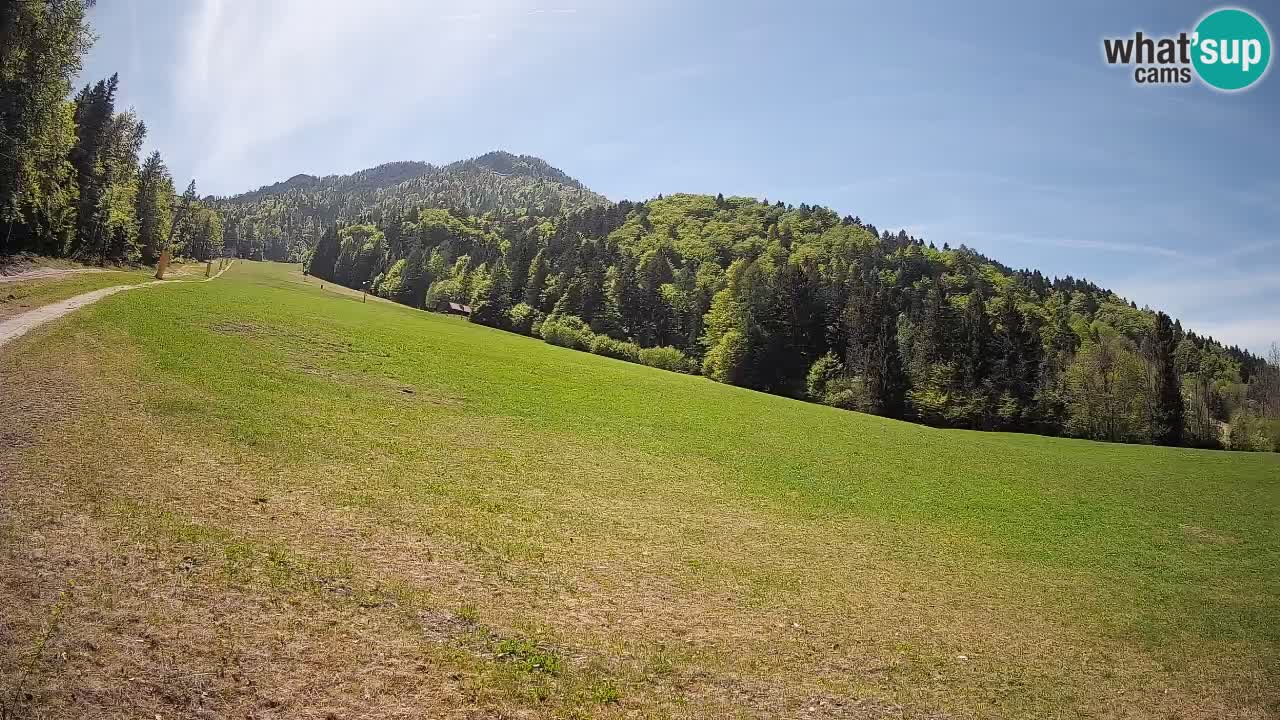 Ski Kranjska Gora | Brsnina