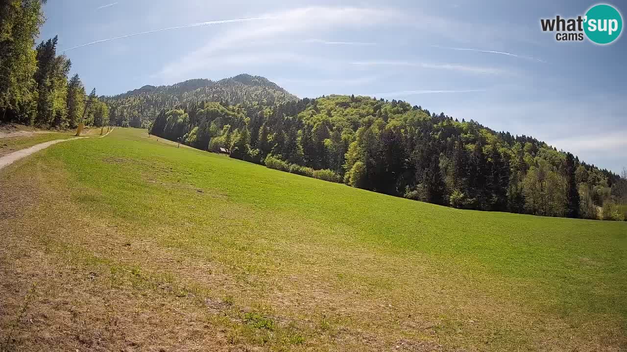 Comprensorio sciistico Kranjska Gora | Brsnina