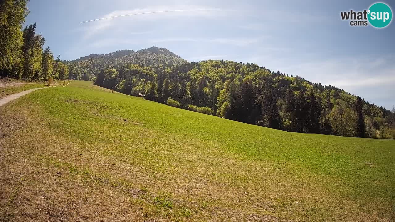 Ski Kranjska Gora | Brsnina