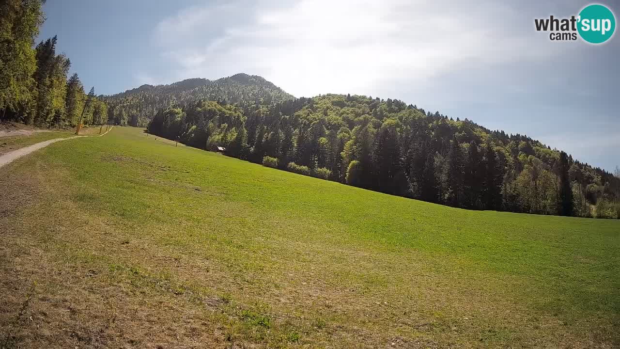 Ski Kranjska Gora | Brsnina