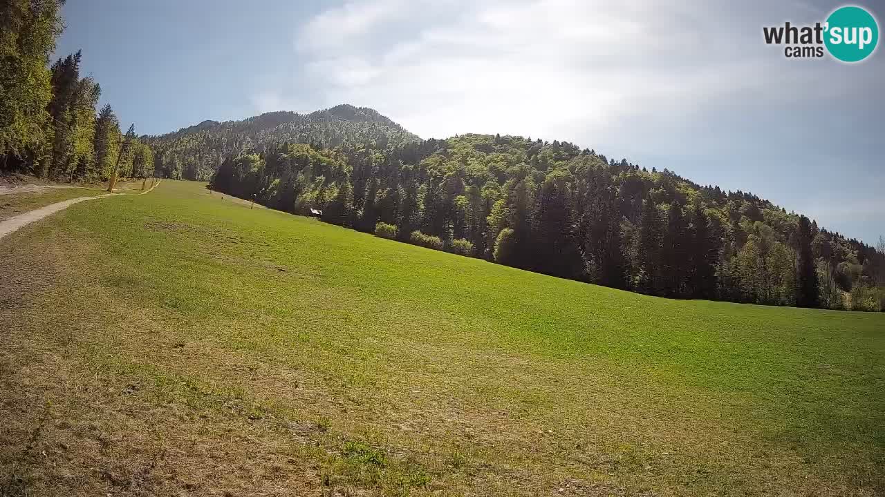 Ski Kranjska Gora | Brsnina