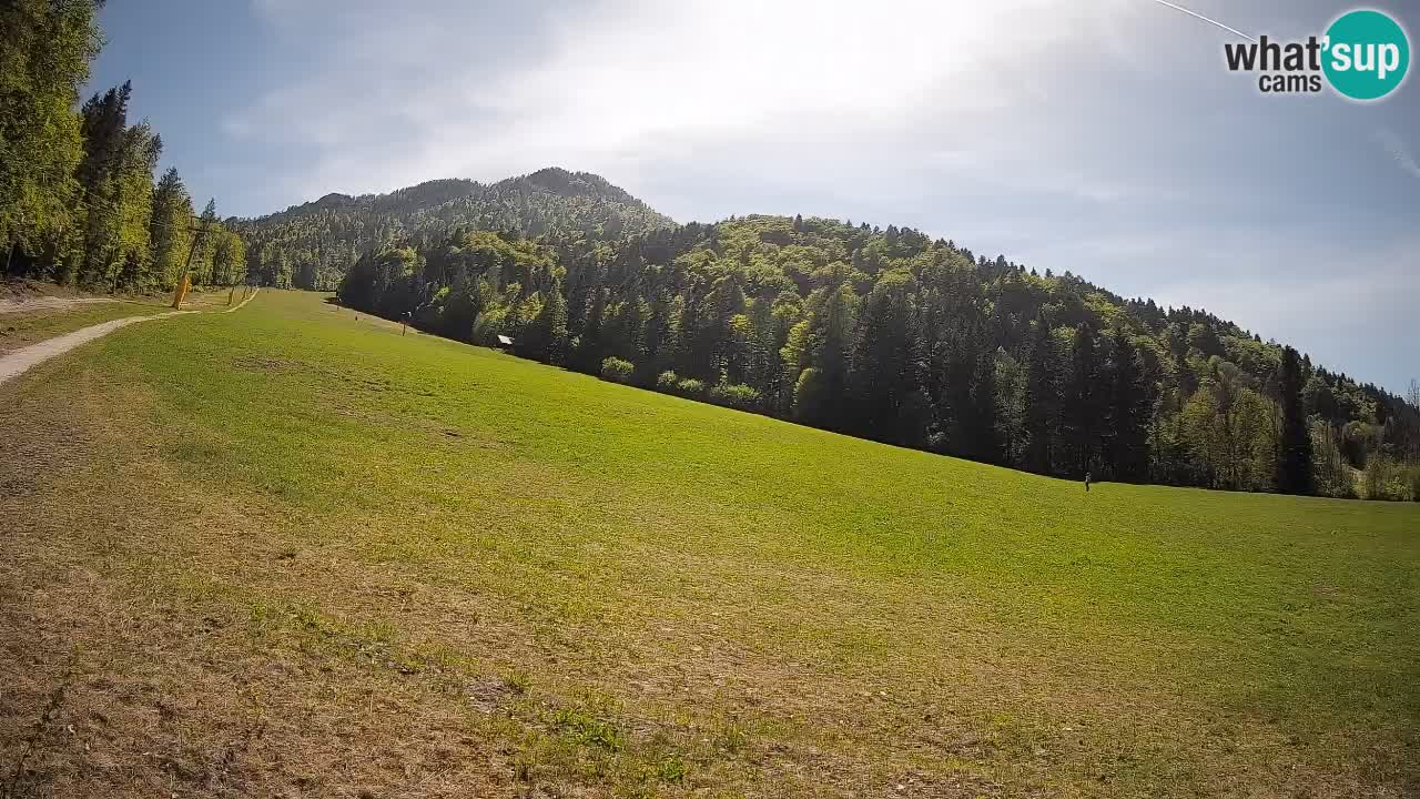 RTC Kranjska Gora | Brsnina