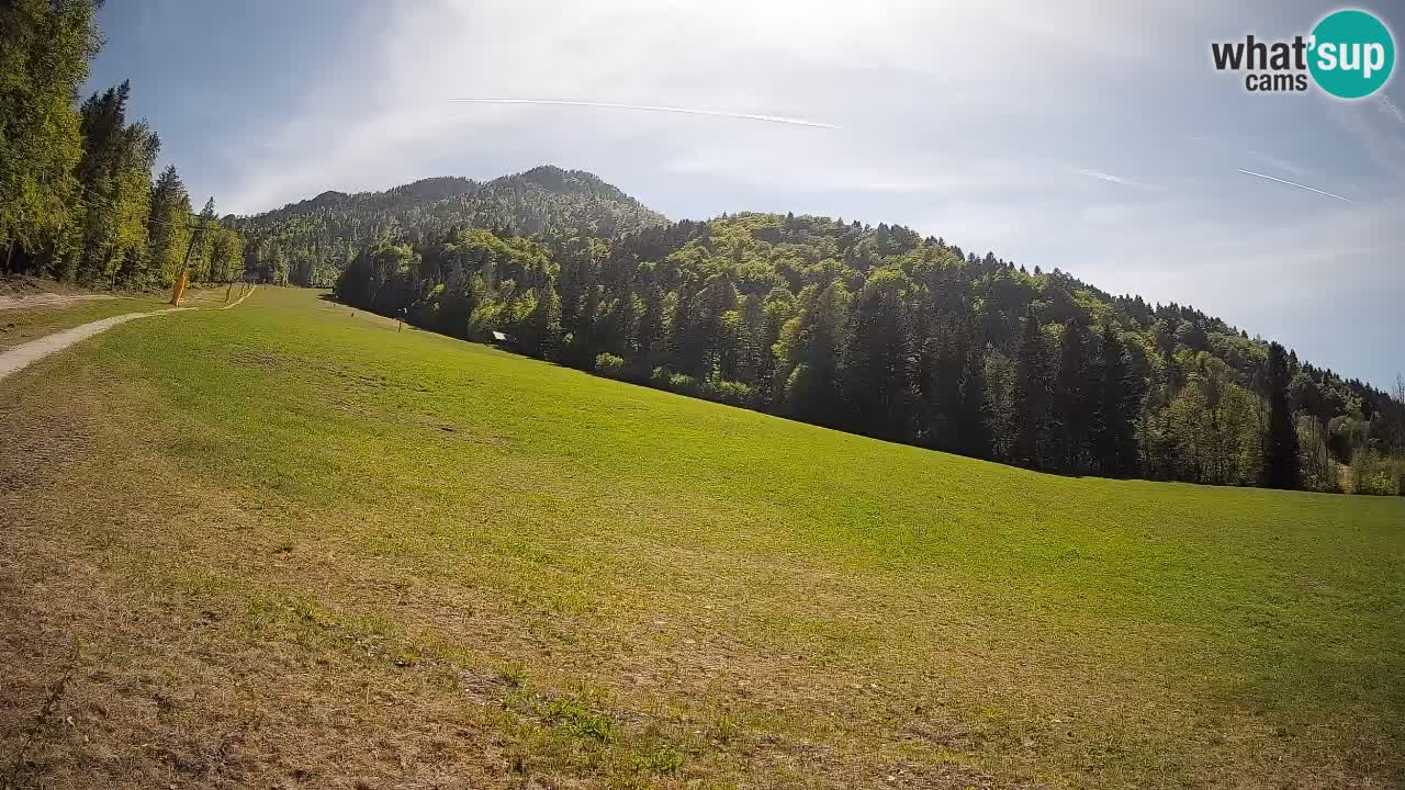 Ski Kranjska Gora | Brsnina