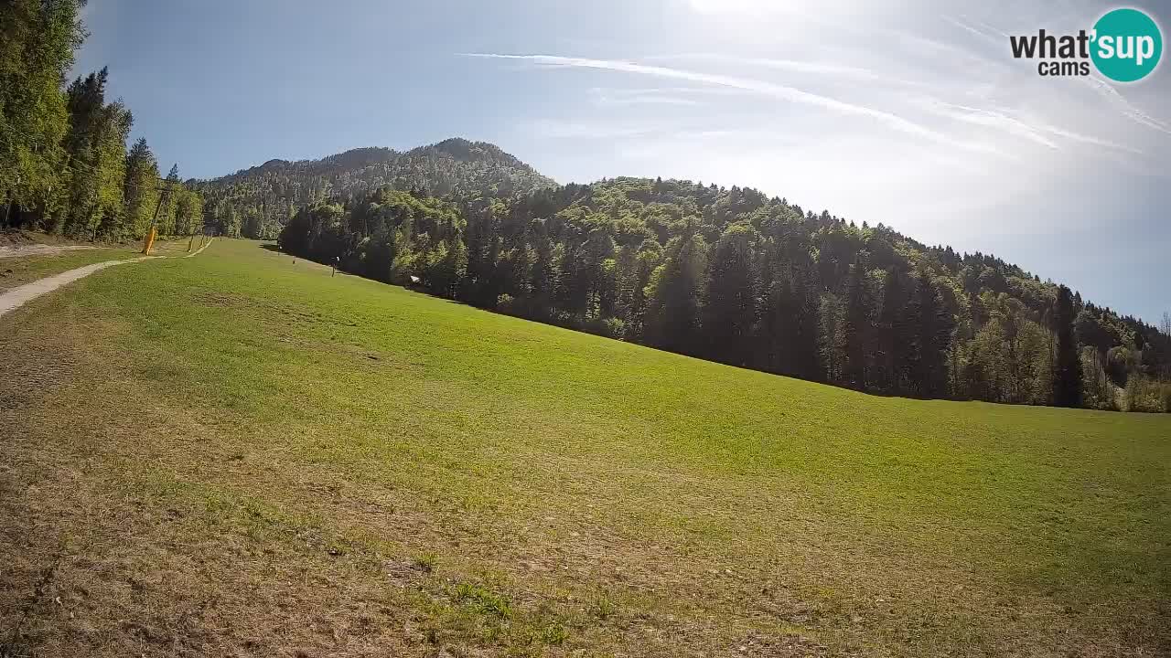 Ski Kranjska Gora | Brsnina