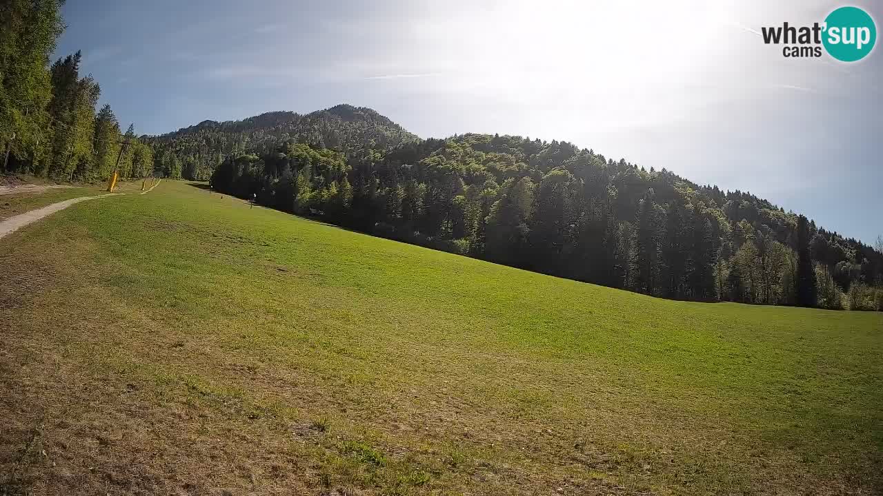 Ski Kranjska Gora | Brsnina