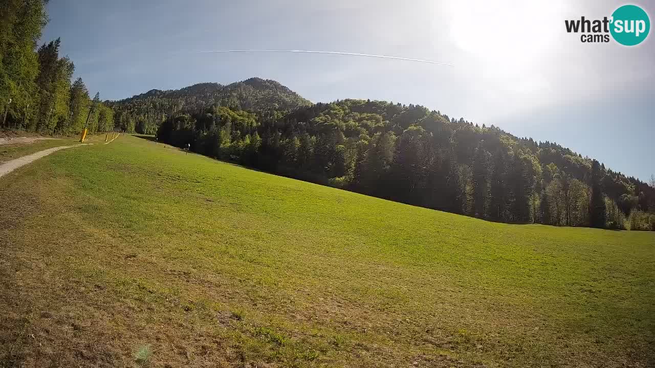 Ski Kranjska Gora | Brsnina