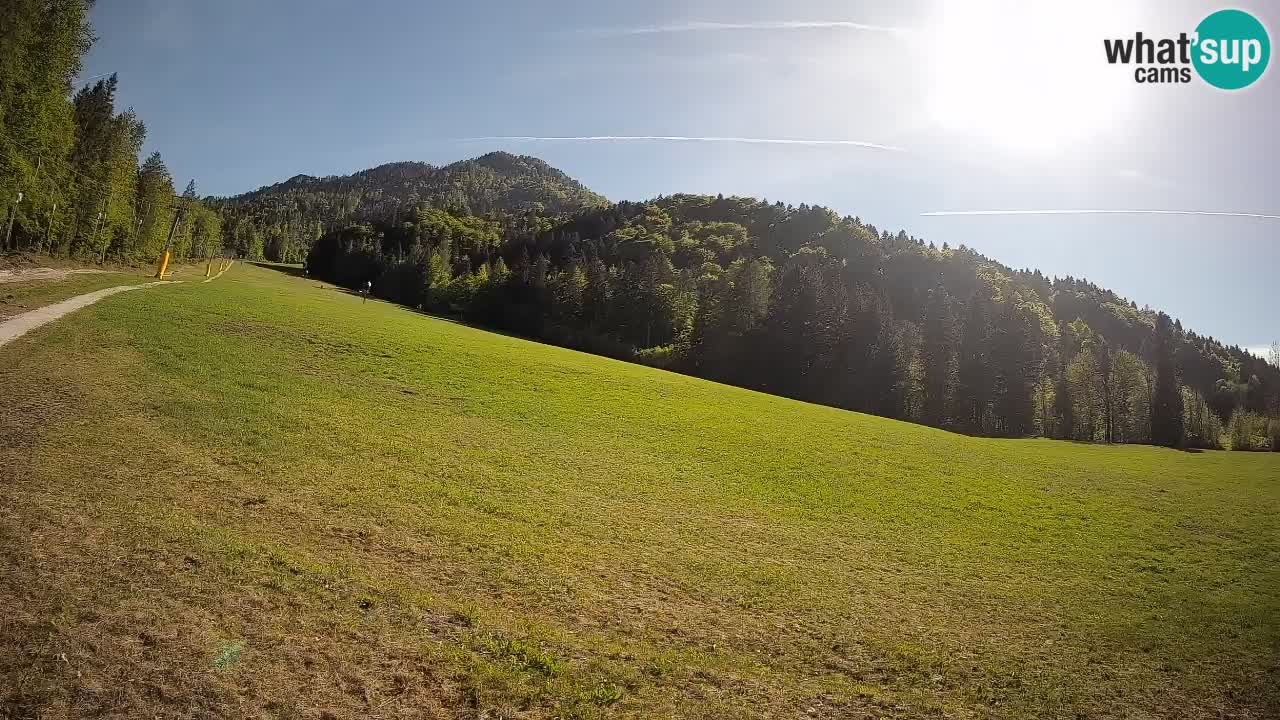 Ski Kranjska Gora | Brsnina