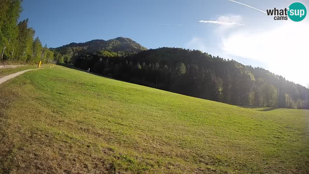 Ski Kranjska Gora | Brsnina