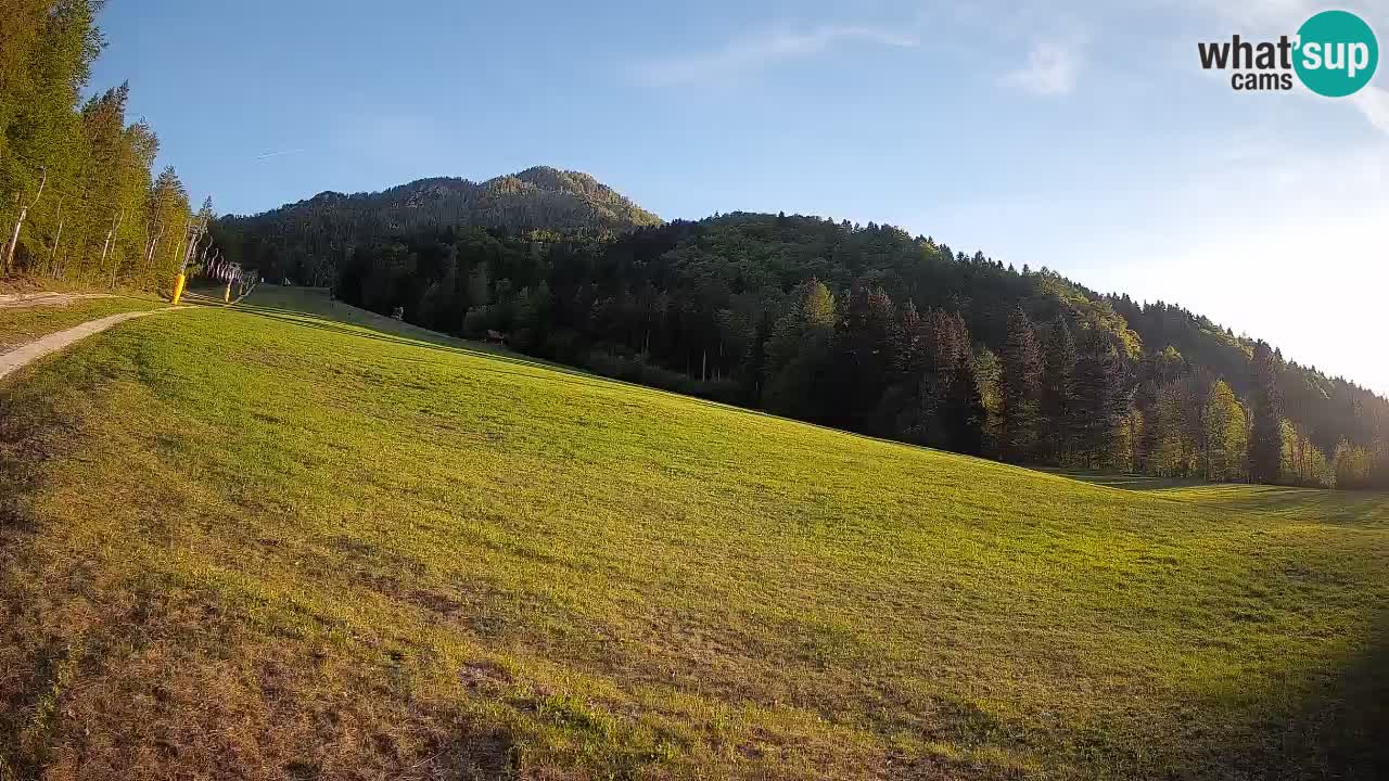 Ski Kranjska Gora | Brsnina