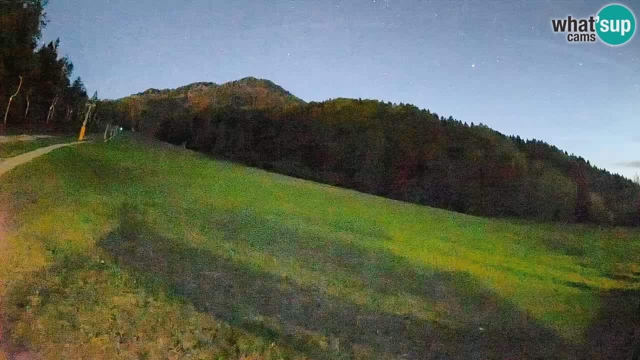 Ski Kranjska Gora | Brsnina