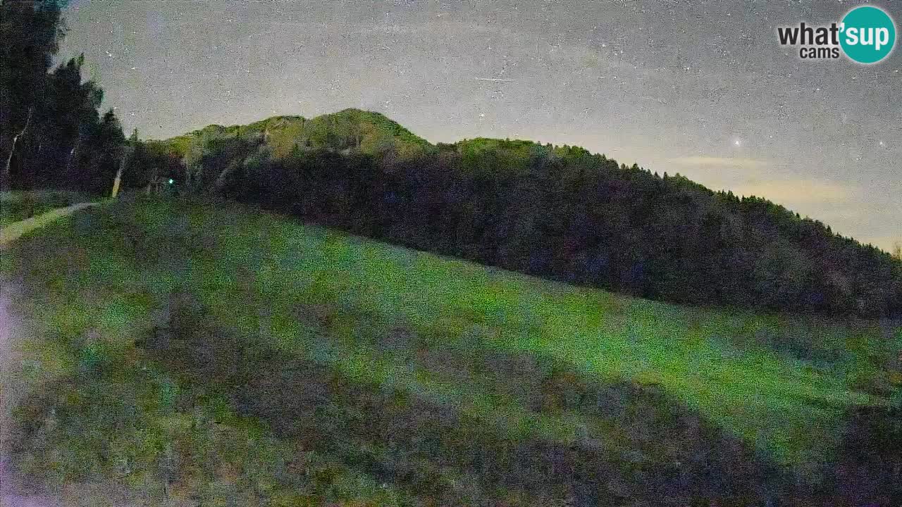 Ski Kranjska Gora | Brsnina