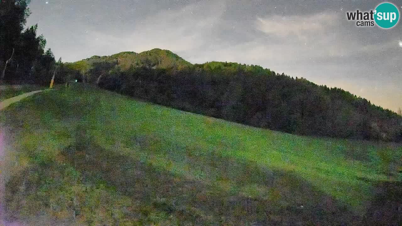 Ski Kranjska Gora | Brsnina