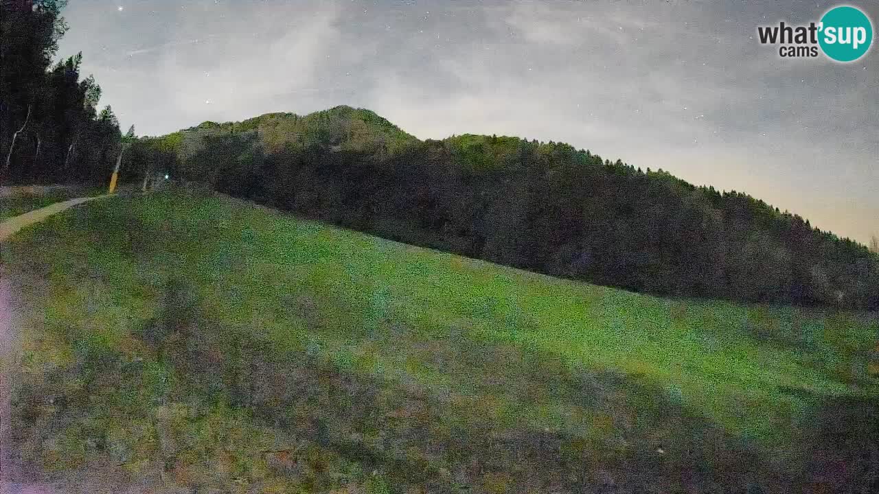 Comprensorio sciistico Kranjska Gora | Brsnina
