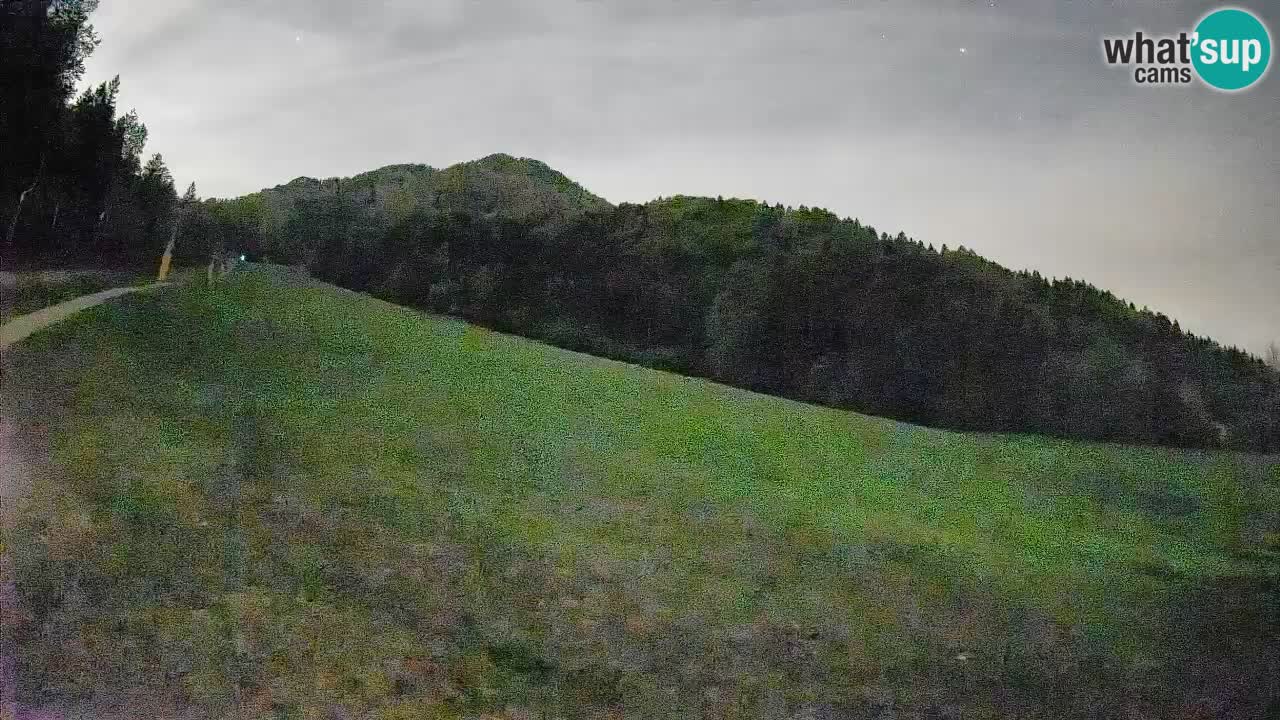 Ski Kranjska Gora | Brsnina
