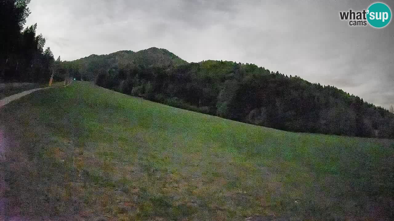 Comprensorio sciistico Kranjska Gora | Brsnina